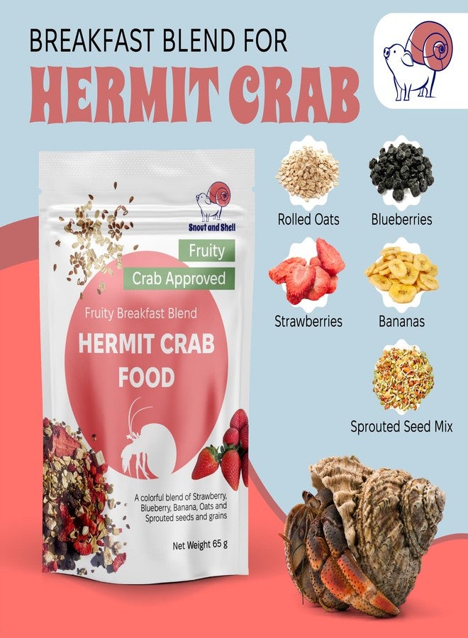 Snout and Shell Hermit Crab Food Bundle (Farm and Meadow, Fruity Breakfast Blend, Crabby Bug Blend, Greensand) - Image 4